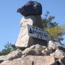 유천버스정류장 이미지