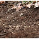 단비농장 이미지