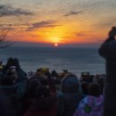 삼사해상공원 공연장 | 영덕 삼사해상공원 해상산책로 | 바다 위를 걷는 힐링 코스, 놓치면 아쉬워요