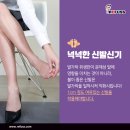 레푸스 다산