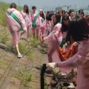 에코 코리아 이미지