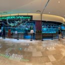 아쿠아가든카페 양재점 이미지