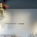 오프닝커피 | HAVAGOODEN 하바구든 플로어 RSVP 오프닝 행사 후기