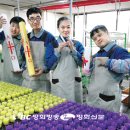 씨튼장애인직업재활센터 이미지