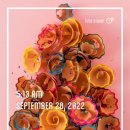 해빙데이 이미지