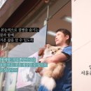 한 동물병원 이미지