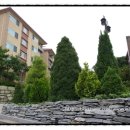 명성그린빌라 입구 이미지