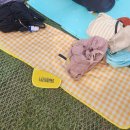 지독한 페스티벌 중독자: 2025 사운드플래닛, 서울숲재즈페스티벌 후기