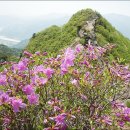 지리산IC주유소 이미지