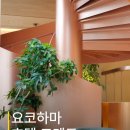 브론즈호텔 | 요코하마 호텔 코멘토 2박 여행 후기 조식 맛집 대추천