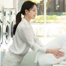 글로벌세탁 이미지