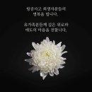 끝까지 손 떼지 못했다…기장 마지막 모습에 '울컥' 이미지