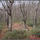 백두목장 이미지