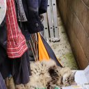 새맛가든 이미지