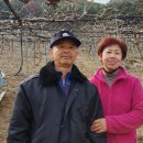 박정숙 농장 이미지