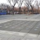 서구실내게이트볼장 이미지