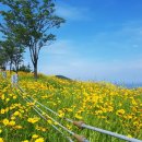 옥포대첩로 이미지