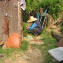 덕호농장 이미지