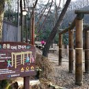 참나무숲오토캠핑장 이미지