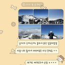 한라산 관음사 코스 등반 후기와 꿀팁을 곁들인 제주도 3박4일 여행기 2편 (feat. 성판악 관음사 비교...