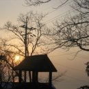 이동원의 가을 편지 이미지