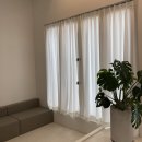 판포2060 이미지