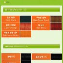 헤어칼라,팜 이미지