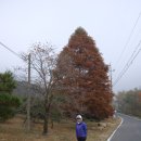 아라메길(2-1) 이미지