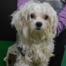 봉천지구대 이미지