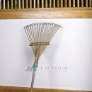 깍쟁이 이미지