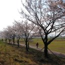 가곡강변로 이미지