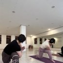 아쉬탕가요가진주