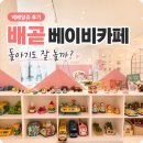 베베앙쥬 베이비카페 배곧 후기 | 시흥 아기랑 갈만한곳 실내 추천