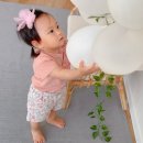 플라플라