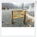 숲이조아