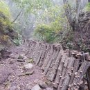 원목농장 이미지