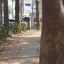 신트리공원 배드민턴장 이미지