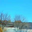 선화농약사 이미지