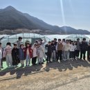 성남초등학교 옆 이미지