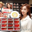 ㈜레이델코리아 이미지