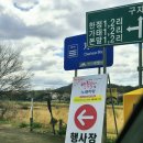 한정초교 | 대구벚꽃명소 3월말 달창지벚꽃길 벚꽃만개