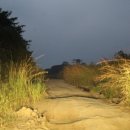 서부특장차 이미지