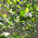 대로농장 이미지