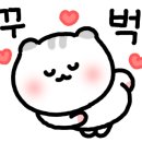 동탄돌짬뽕 이미지