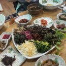 점봉산산채산나물천국 | [설악산 맛집] 점봉산 산채 산나물 천국 식당 후기 주차 정보