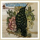 [3504] The Wallflowers - One Headlight 이미지