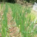 참좋은가게 이미지