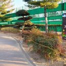 감삼못공원 이미지