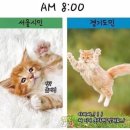 수경슈퍼 - 계양구 | 수경슈퍼