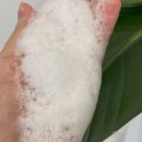 하나로 | 두피건선 샴푸 하나로 끝났던 내 후기